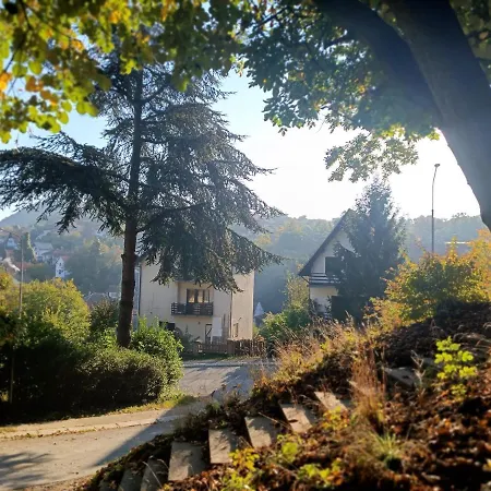 Gasthof Nena & Rale Donji Milanovac