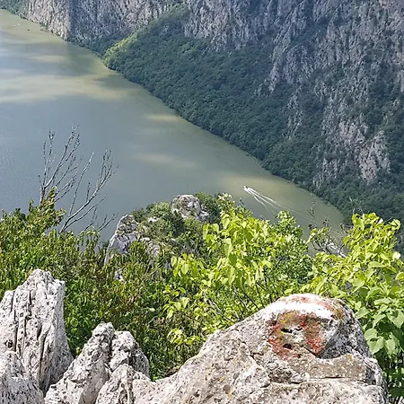 Nena & Rale Guest house Donji Milanovac