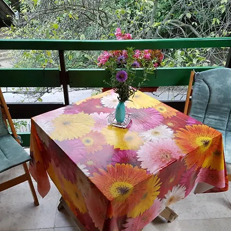 Guest house Nena & Rale Donji Milanovac