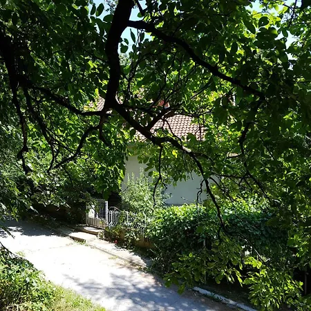 Nena & Rale Guest house Donji Milanovac