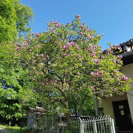 Nena & Rale * Donji Milanovac