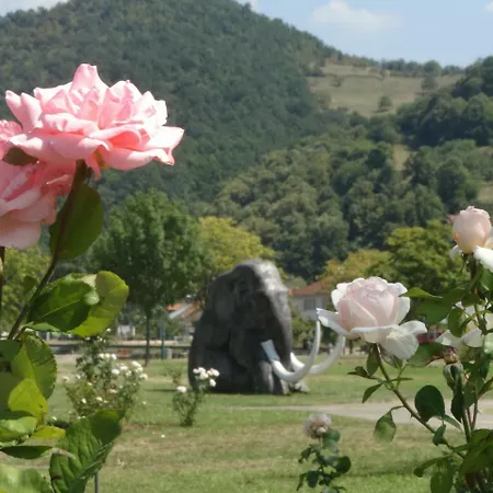 Nena & Rale Guest house