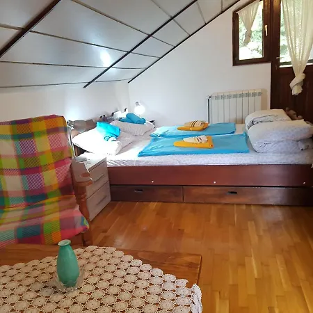 Nena & Rale Guest house Donji Milanovac